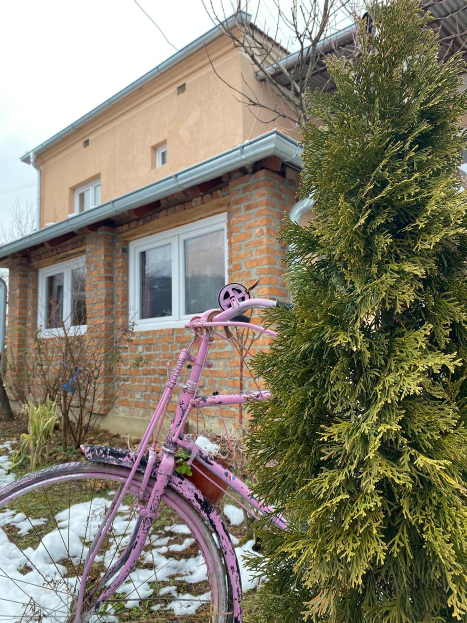 Seosko Turisticko Domacinstvo Stanisic Apartment Kalna Екстериор снимка