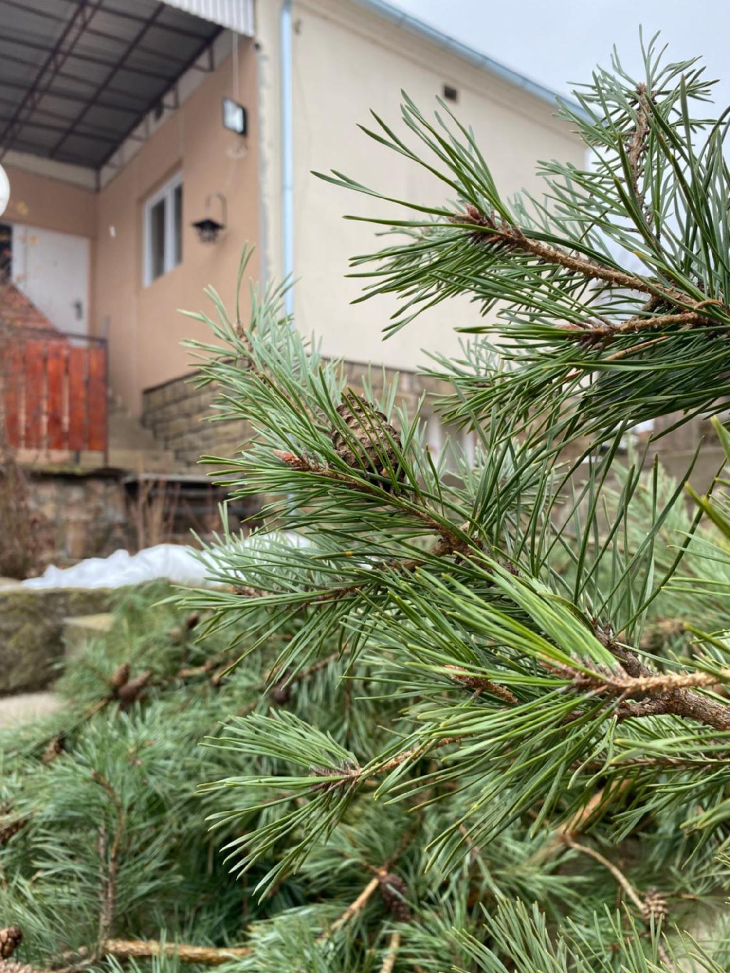Seosko Turisticko Domacinstvo Stanisic Apartment Kalna Екстериор снимка